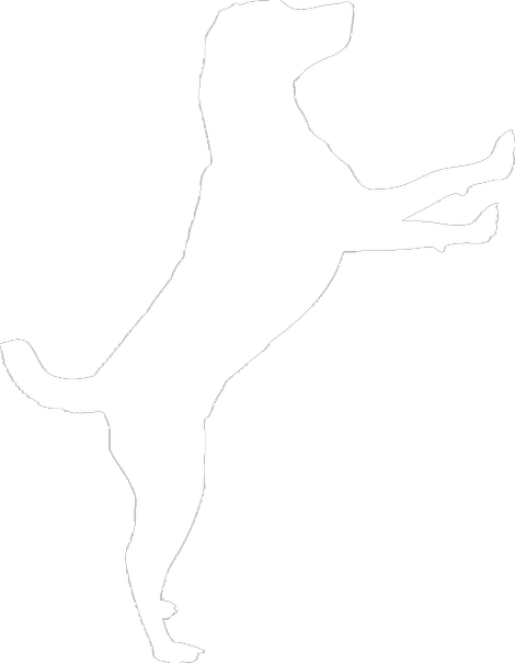 Hunde aus Spanien Logo