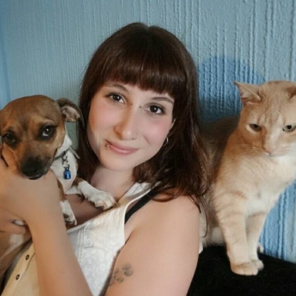 Inga Schweitzer - Pflegestelle Katzen