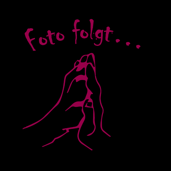 Melanie Kerch - Pflegestelle Galgos