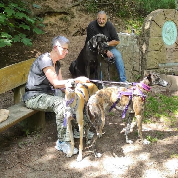 Ute und Detlef Jung - Pflegestelle Hunde